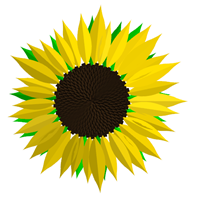Sunflower created with Malsys.