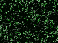 Conway's Game of Life rendered with effect of dying cells.