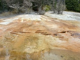 Upper Terraces of Mammoth Hot Springs in Yellowstone National Park.