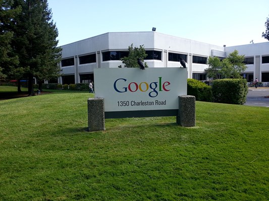 Google sign with crows standing on top of it.