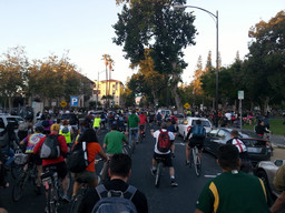 Bike party! Regular event in San Jose where a few thousand bikers march through the city.