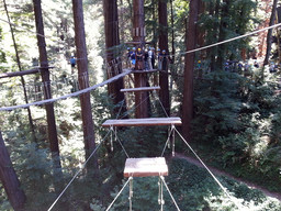 Ropes course. This was one of the hardest tracks where two of us were standing against each other and walking across.