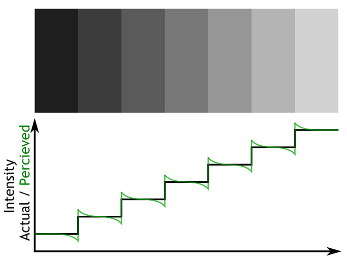 Mach Bands illusion.
Each rectangle has solid color but it is perceived as a gradient because the edges are enhanced by human visual system.