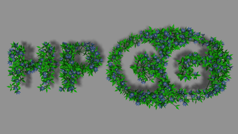Top view of the result model.