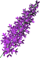 Lilac created with Malsys.